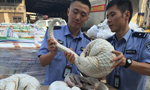 Crackdowns on animal trade don’t deter buyers