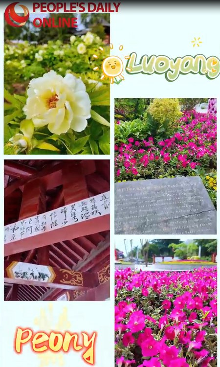 Eurasian journalists explore National Peony Garden in C China's Luoyang